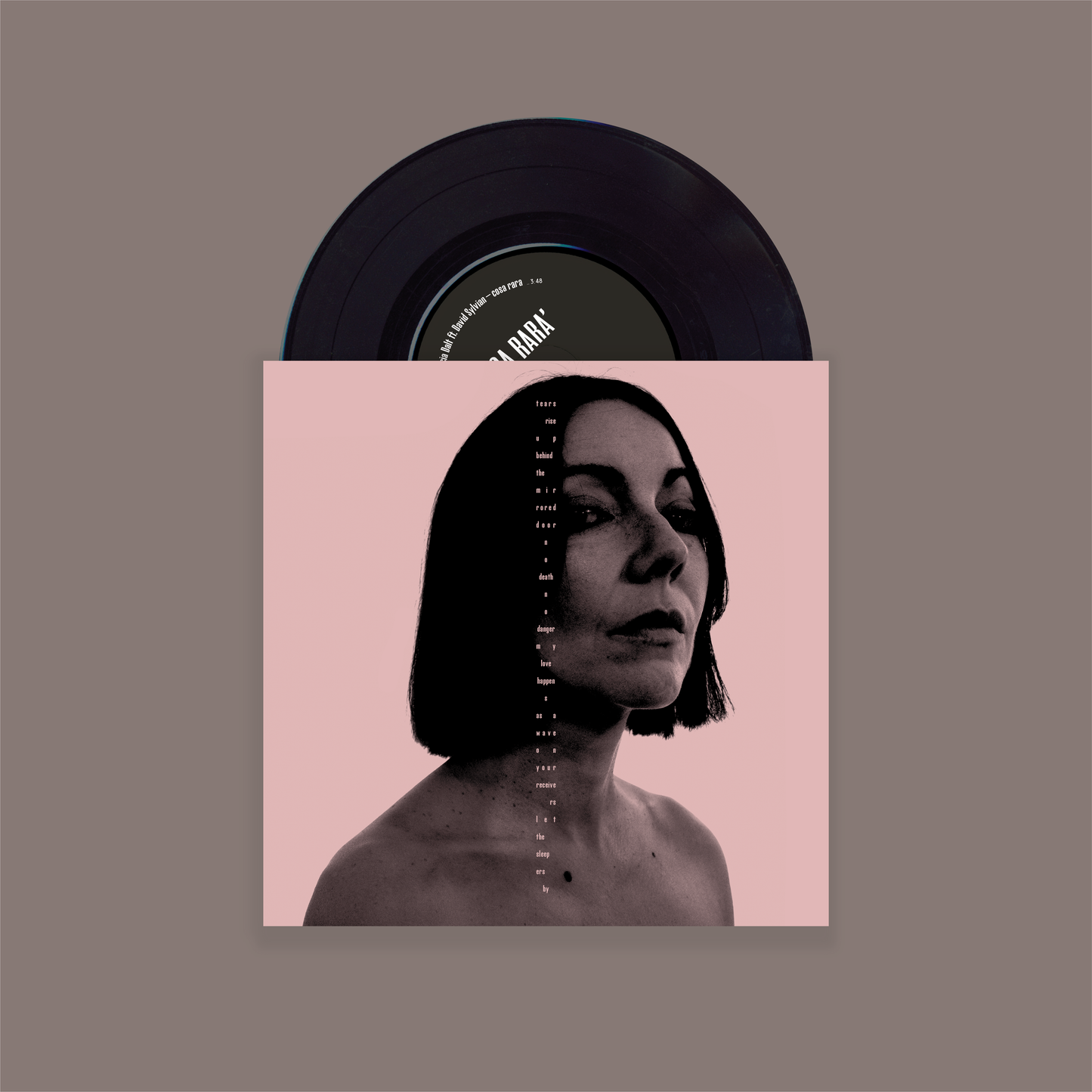 Lucrecia Dalt - cosa rara