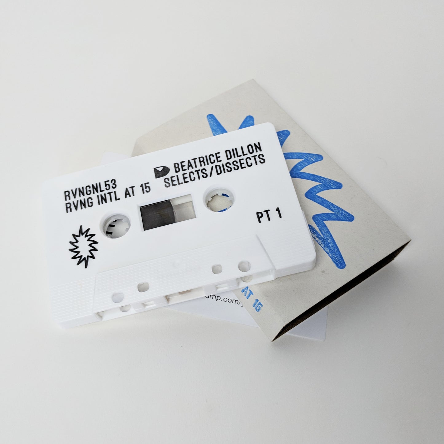 V/A - RVNG Intl. at 15: Beatrice Dillon Selects / Dissects