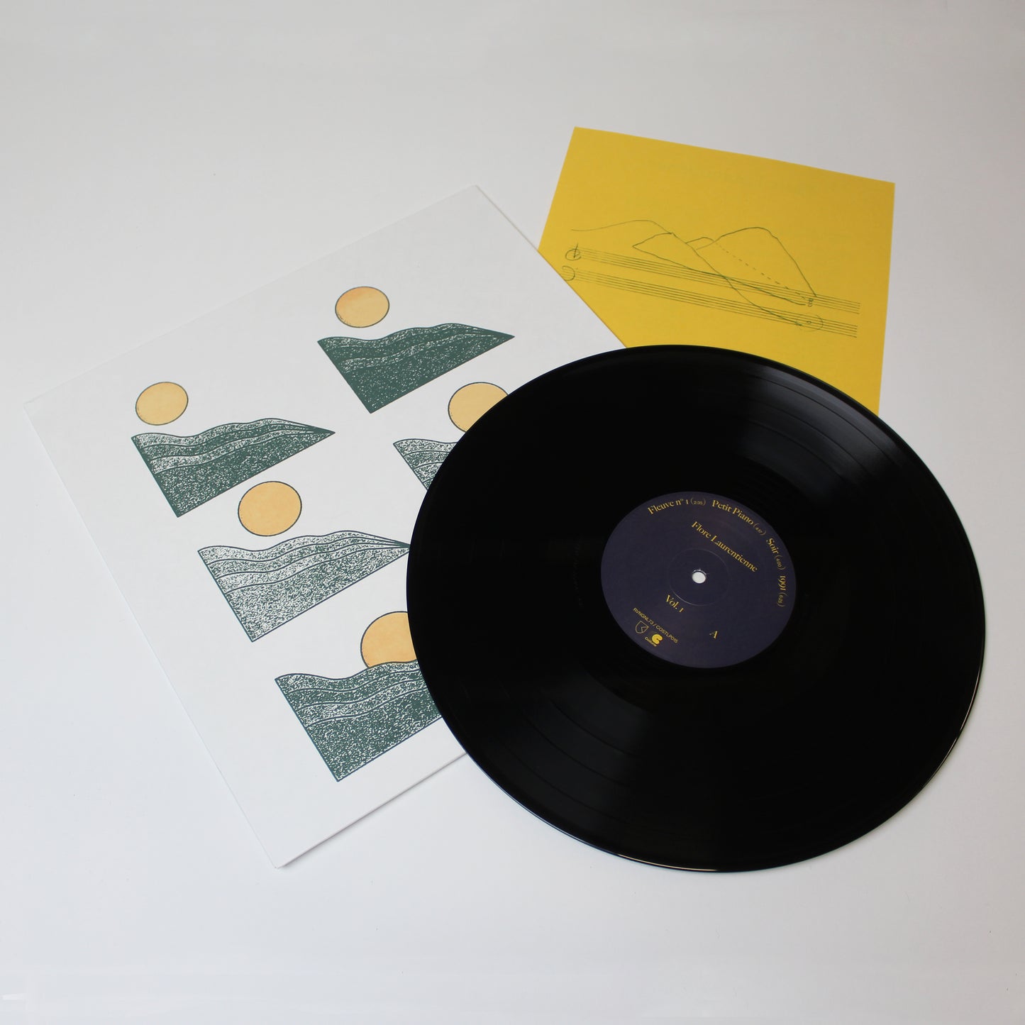 Flore Laurentienne - Volume I