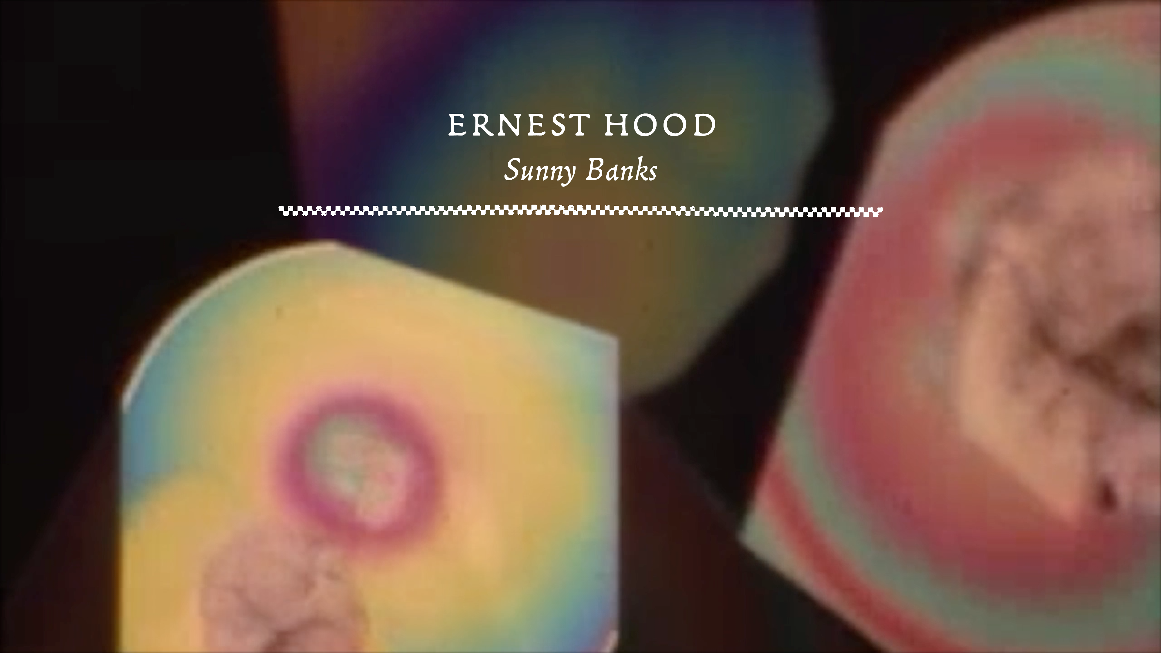 Load video: Ernest Hood - Sunny Banks [Official Video]