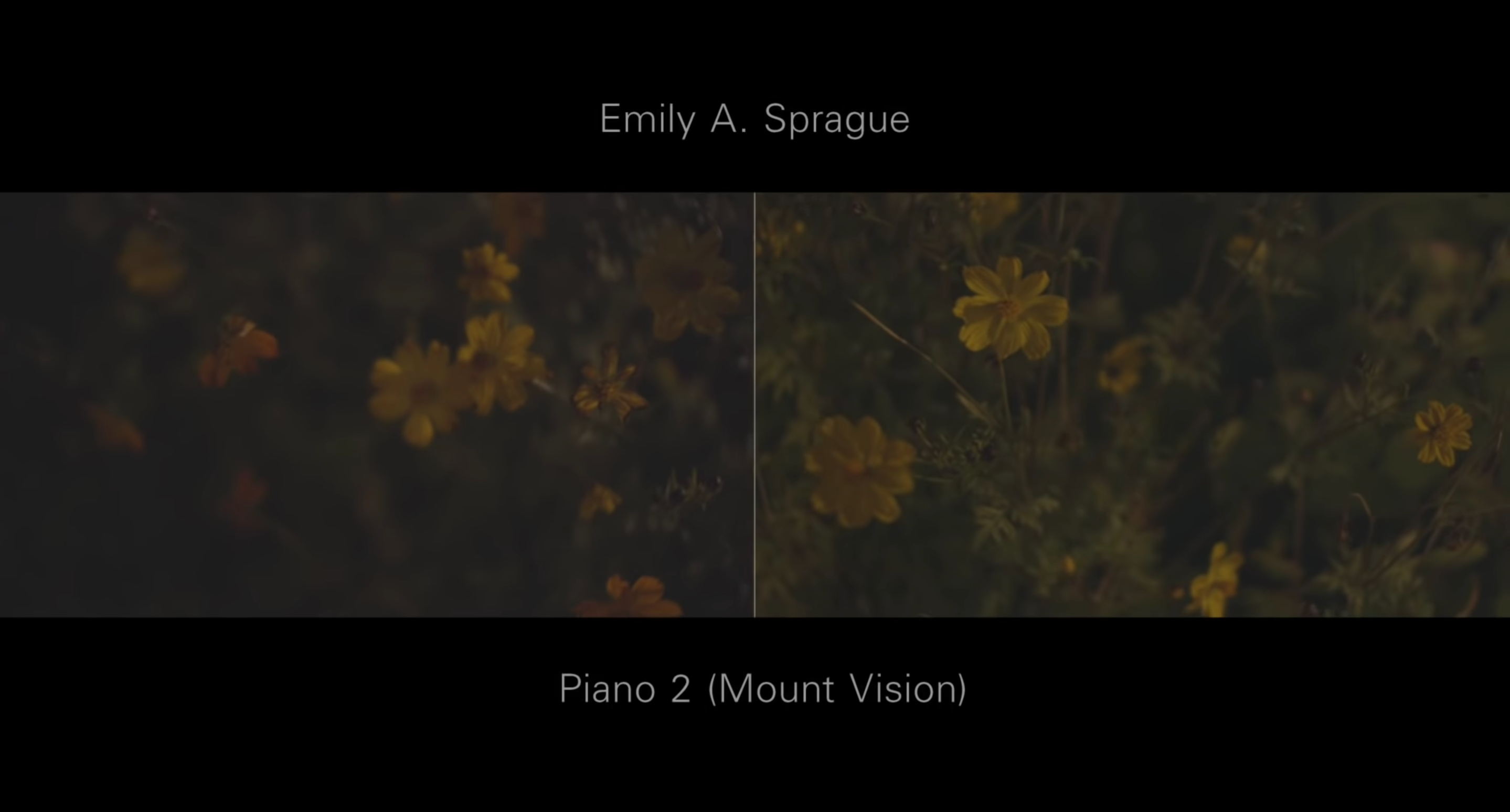 Load video: Emily A. Sprague - Your Pond