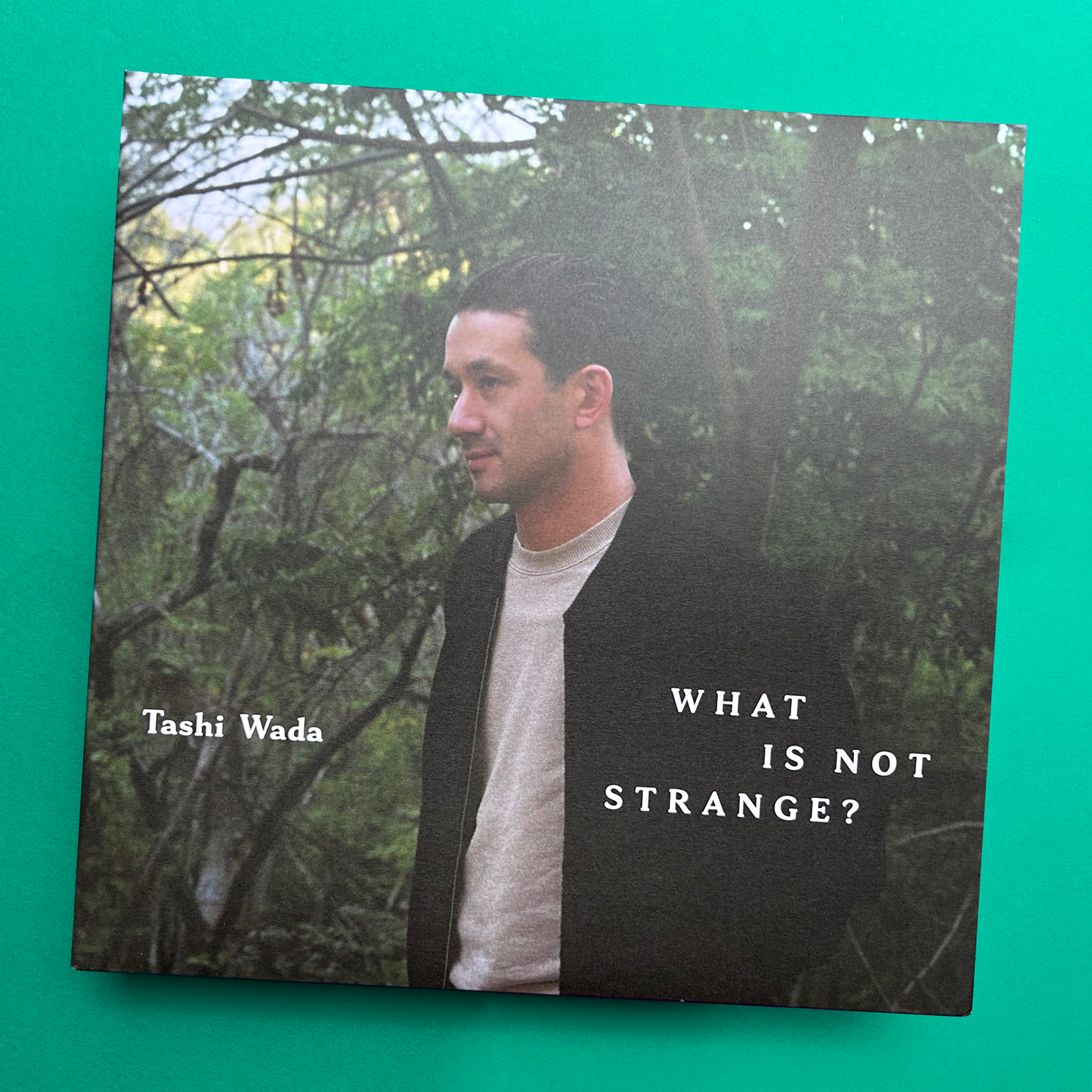 Tashi Wada - What is Not Strange?