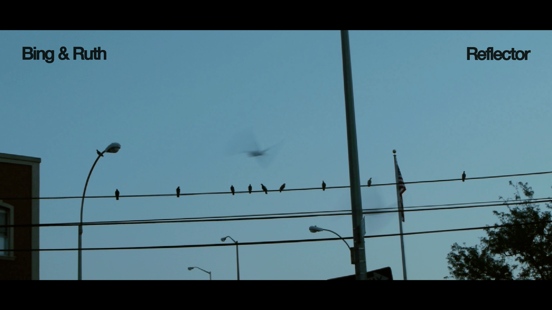 Load video: Bing &amp; Ruth - Reflector [Official Video]