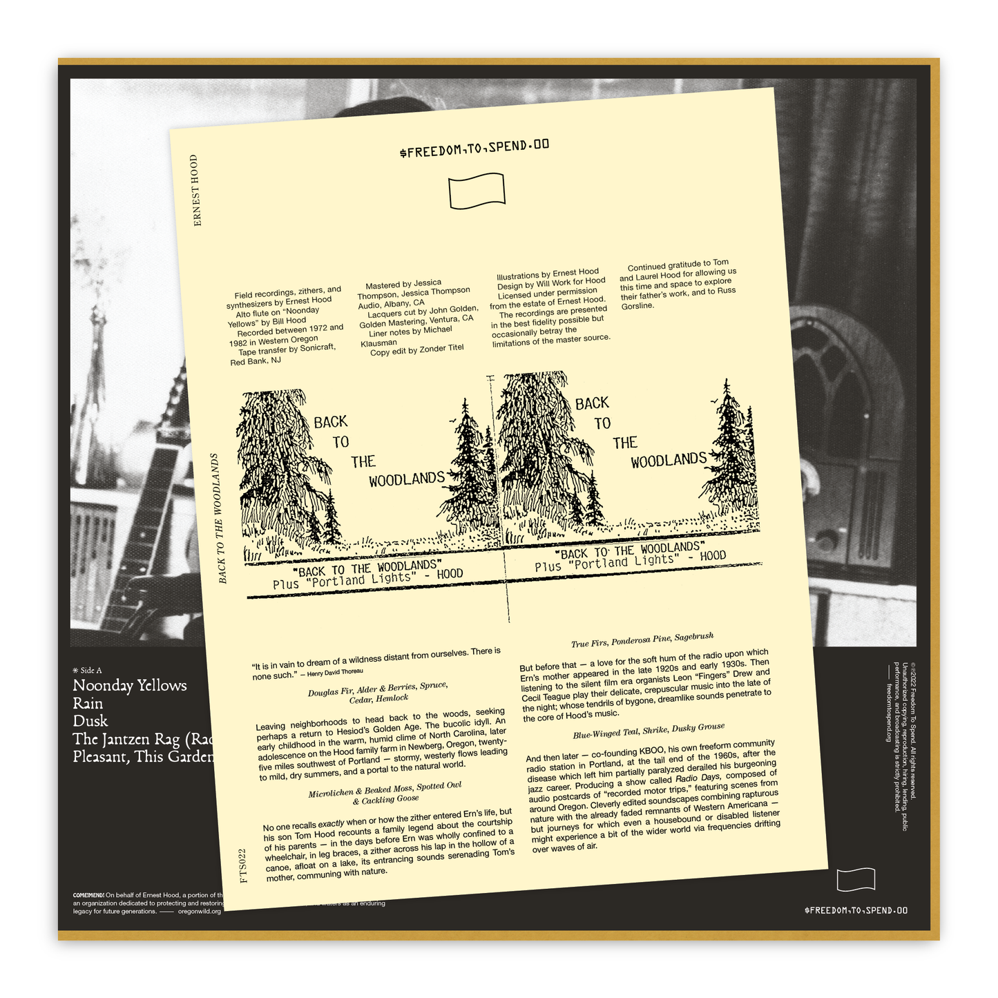 Ernest Hood - Back to the Woodlands