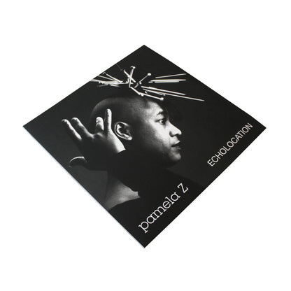 Pamela Z - Echolocation