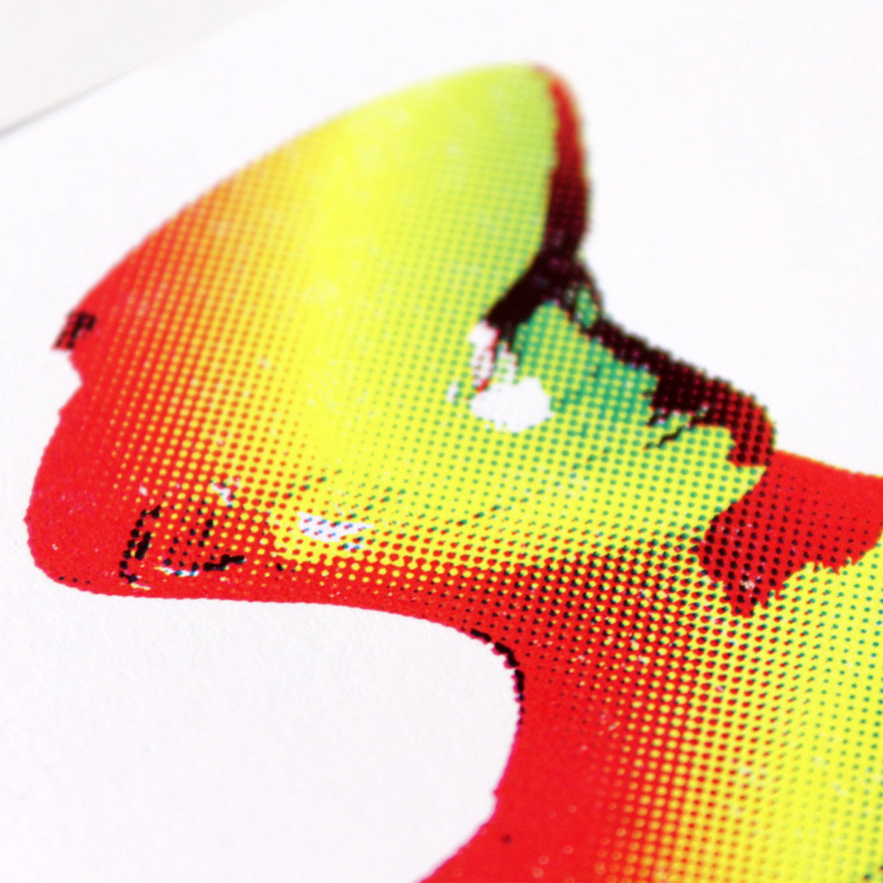 Visible Cloaks - Lex