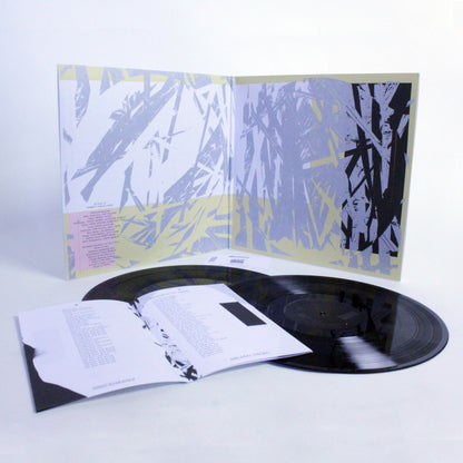 Helado Negro - Private Energy (Expanded)