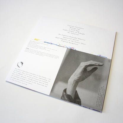 Pauline Anna Strom - Angel Tears in Sunlight