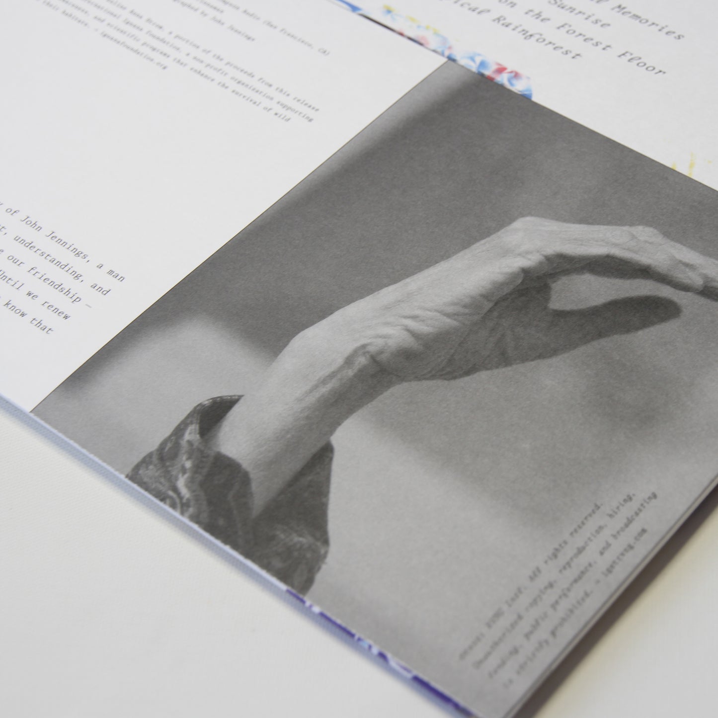 Pauline Anna Strom - Angel Tears in Sunlight