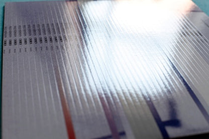 Chorus <span>Holly Herndon</span>